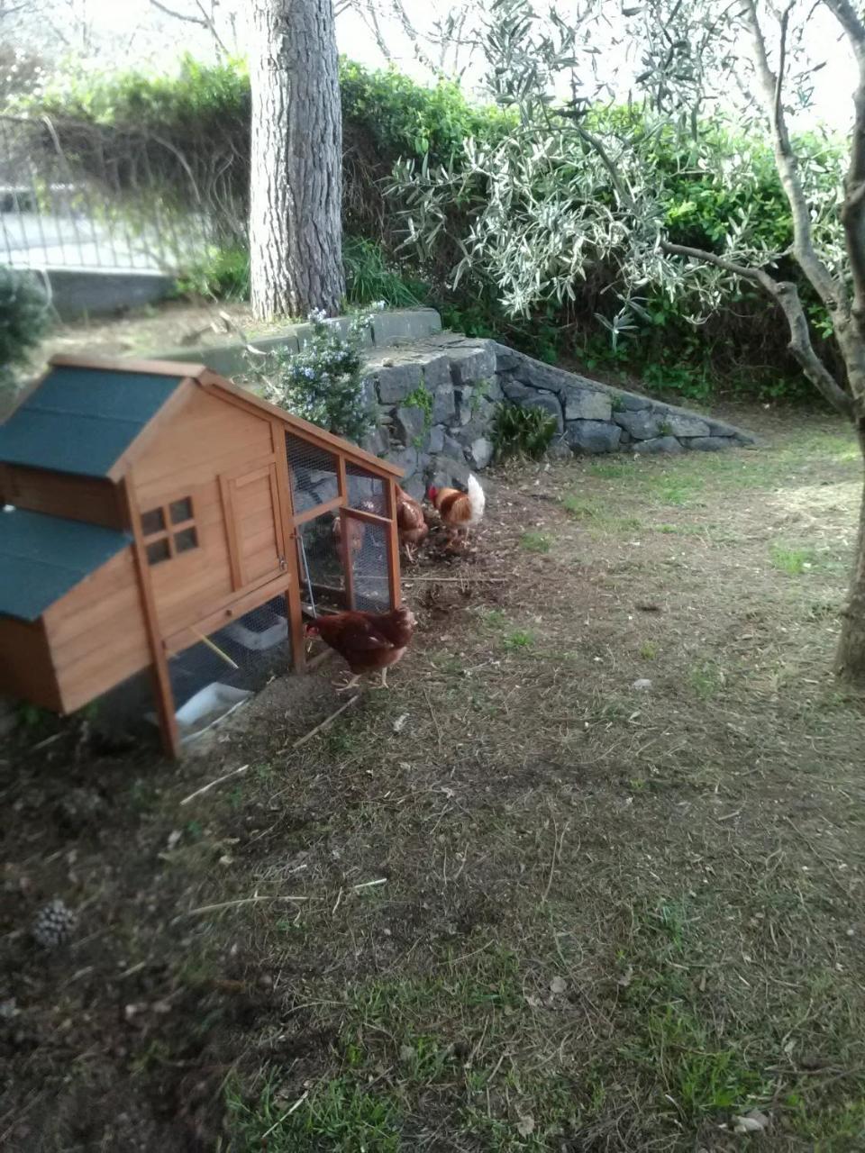 La Pietra Antica O' Munti Villa Mascali Dış mekan fotoğraf